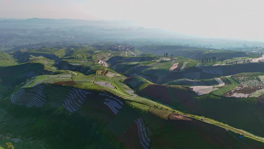 Green patterns of vegetable plantations on the hills. Aerial scenery rural landscape of agricultural field. Indonesia rural landscape.