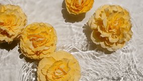 Yellow rose flowers on water surface. Waves, water Splash on white background. Sun and shadows. Pure water with reflections sunlight and shadows in slow motion.  - Powered by Shutterstock - Get 15% off with code: PIKWIZARD15