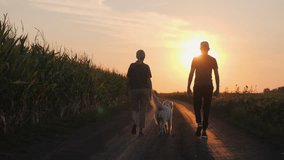 Couple of farmers walking on a dirt path alongside a cornfield at sunset with their golden retriever dog. High quality 4k footage - Powered by Shutterstock - Get 15% off with code: PIKWIZARD15