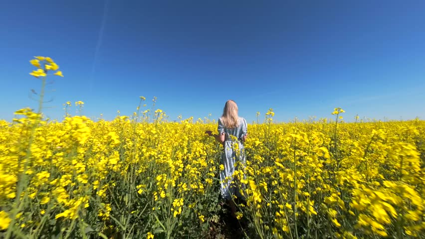 Cinematic FPV drone shot of woman walking through blooming yellow rapeseed field on sunny spring day. Peaceful countryside lifestyle scene for nature, freedom, and slow living themes.