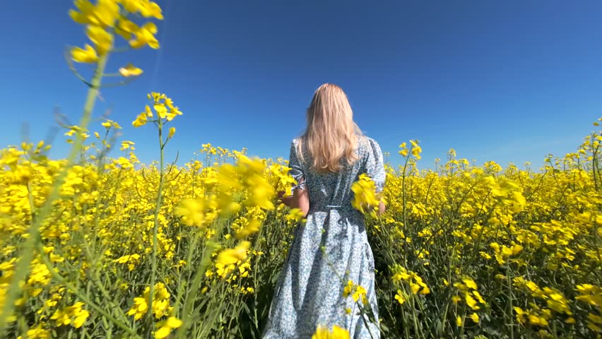 Cinematic FPV drone shot of woman walking through blooming yellow rapeseed field on sunny spring day. Peaceful countryside lifestyle scene for nature, freedom, and slow living themes.