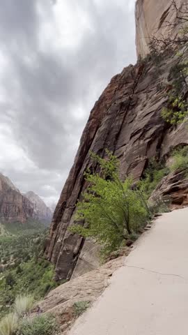 Zion National Park West Rim Trail reveals canyon and Virgin River