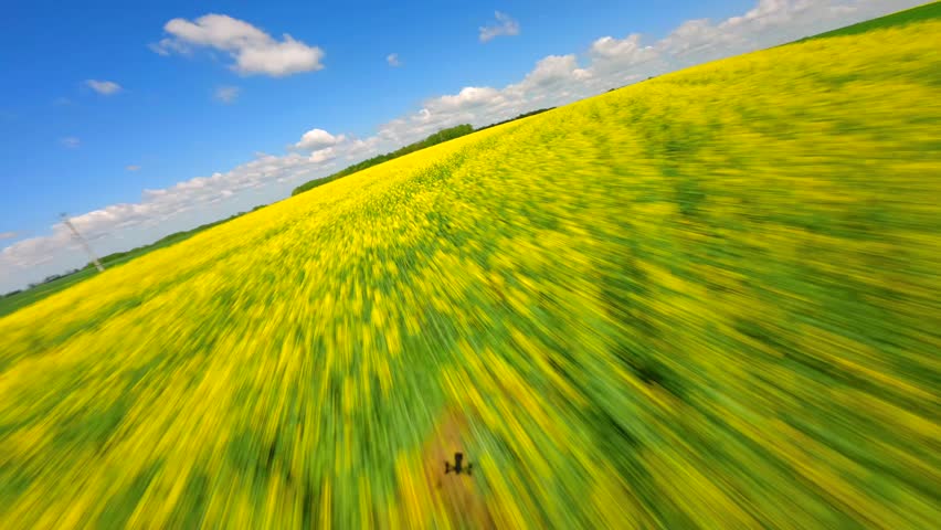 Shutterstock Video
