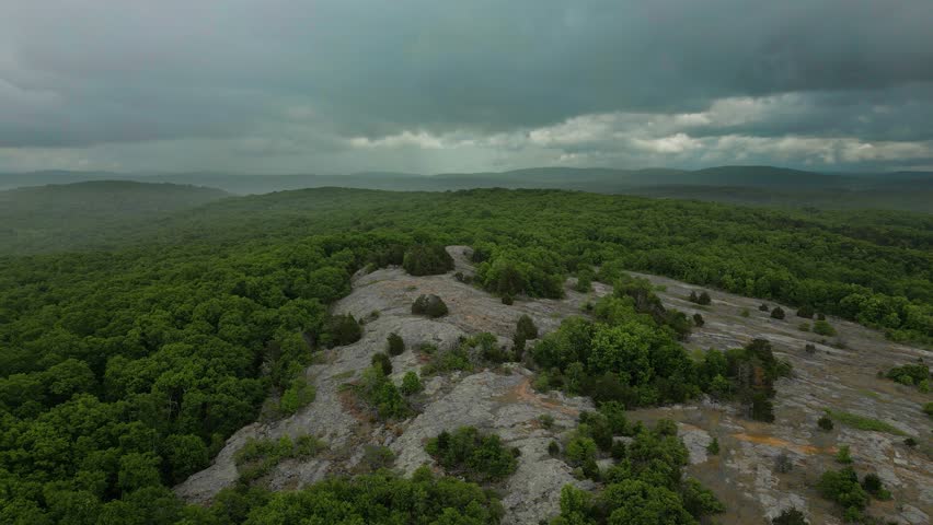 Shutterstock Video
