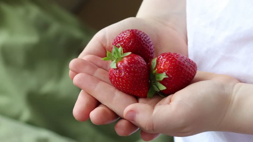 Kids holding three red strawberries. 
