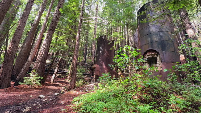 Limekiln State Park: Abandoned Industrial History in the Woods