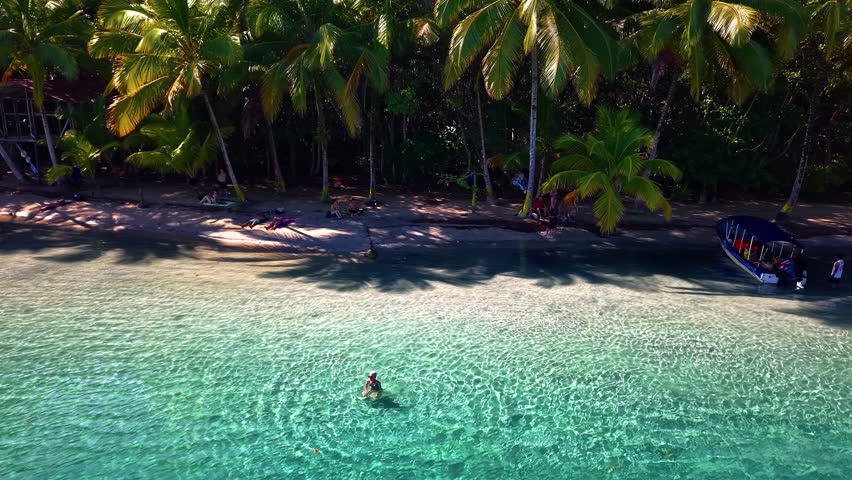 People At Sandy Beach Lined With Palm Trees In Bocas Del Toro, Panama. aerial pullback shot