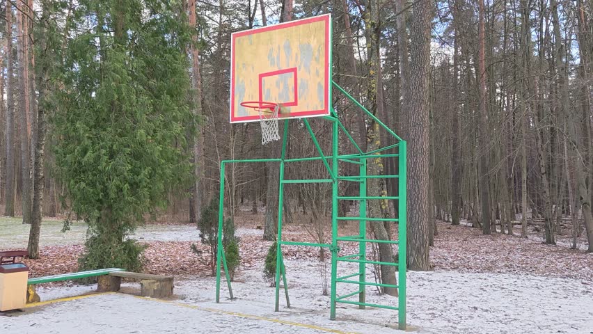 On the snow-covered ground there are metal structures with simulators and a basketball shield, a ring and a basket for playing basketball. Nearby are trees, benches and an urn. Overcast spring weather