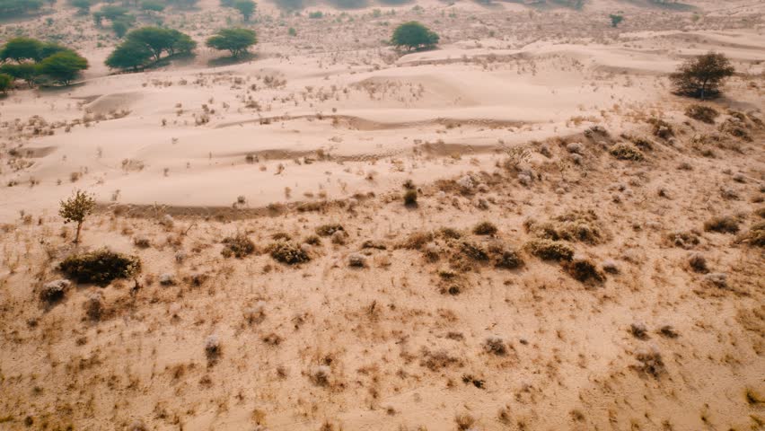 4K Aerial landscape of dry bushes in Thar desert of Jaisalmer, Rajasthan, India. Heat weave, climate change and global warming concept. Desert background.