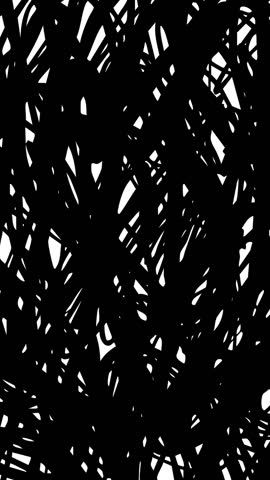 Black scribble vertical animated background, transition, intro, copyspace, grunge abstract texture animation, black and white, looped