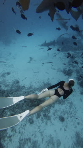 Female freediver underwater dives with nurse sharks and tropical fish in blue ocean