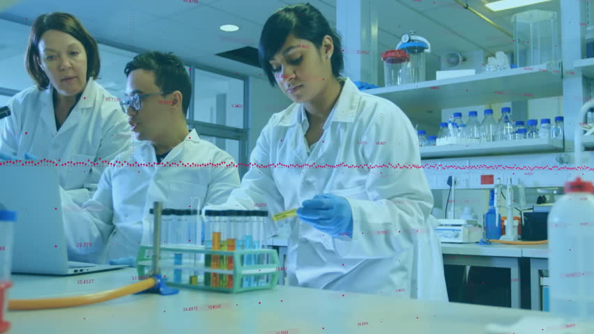 Shutterstock Video