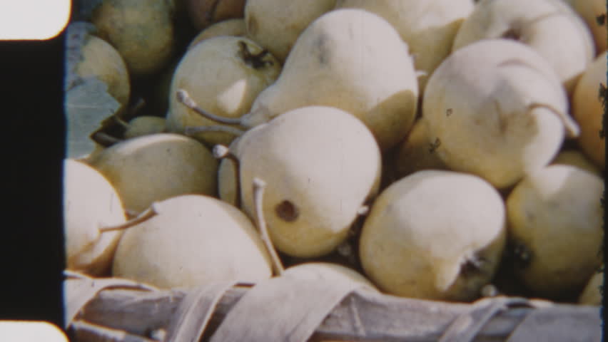 Vintage 8mm footage showcasing a rustic display of fresh pears, ripe tomatoes, and dried bean pods, capturing the simple beauty of farm-fresh produce
