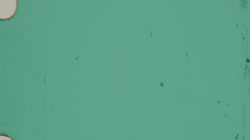 A flickering film transition with glitch effects reveals a cinematographer logo, creating a vintage cinematic feel