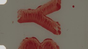 This close-up shot captures bold red letters and vertical red stripes on an 8mm film pre-roll clip, set against a textured background, with the film strips perforated edges clearly visible on the left - Powered by Shutterstock - Get 15% off with code: PIKWIZARD15