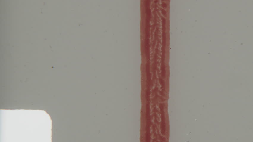 Close-up of a textured, slightly wavy reddish-pink 8mm film leader featuring abstract, organic letterforms whose imperfect, hand-painted quality evokes vintage nostalgia and analog charm