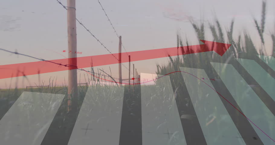 Red arrow sweeping in triggers data line tracing fence while bars rising visualizing trend. Rural, landscape, data visualization, infographics, graphic elements, agricultural, natural