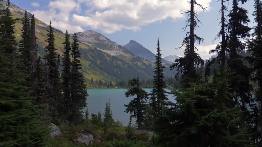 Alpine Lake And Pine Forest Along Marriott Basin Trail. Wendy Thompson Hut Hike Near Birken, BC, Canada. static shot