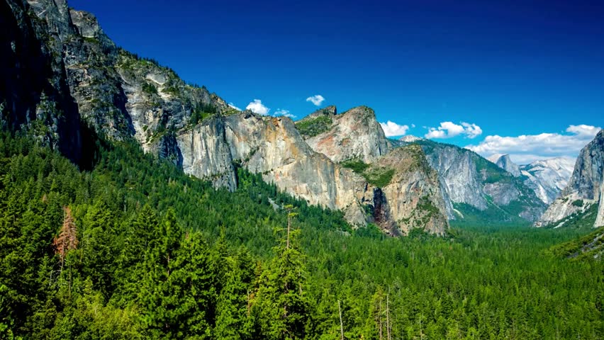 Majestic Yosemite Valley Landscape: Granite Cliffs, Coniferous Forest, and Blue Sky