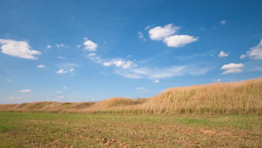 Rural Landscape with Golden Wheat Field Under Blue Sky and Fluffy Clouds