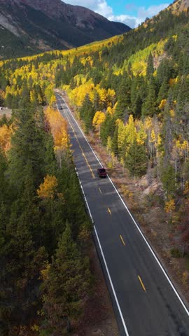 Vertical Drone Shot of Traffic on Mountain Pass, Road in Yellow Green Forest on Sunny Autumn Day