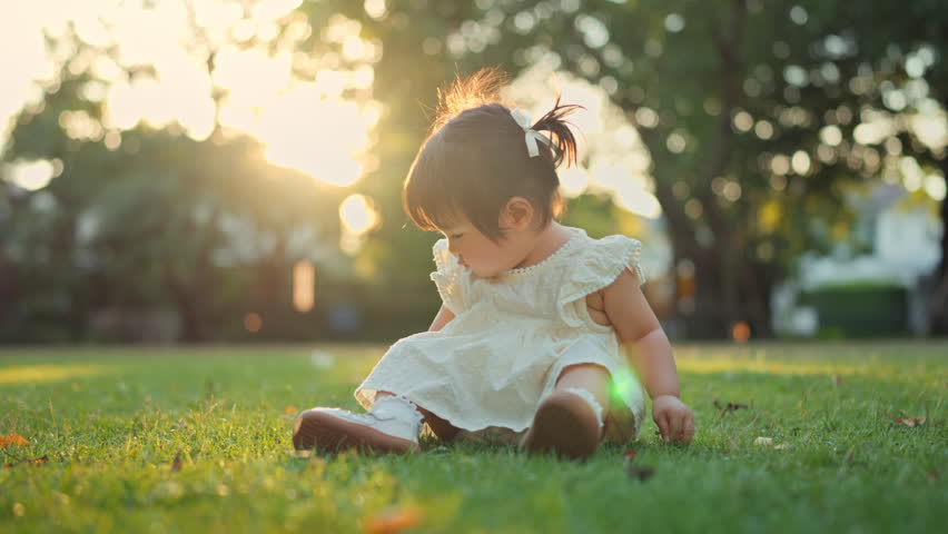 Happy little asian baby girl sitting on green grass lawn, touching and exploring nature in backyard garden during summer, sunlight sunset – learning, growth and outdoor fun