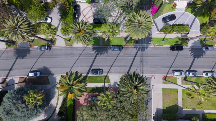 Top-Down Drone View of Beverly Hills Street with Palm Trees and Cars