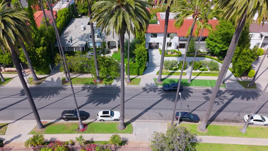 A Residential Street in Beverly Hills, Los Angeles
