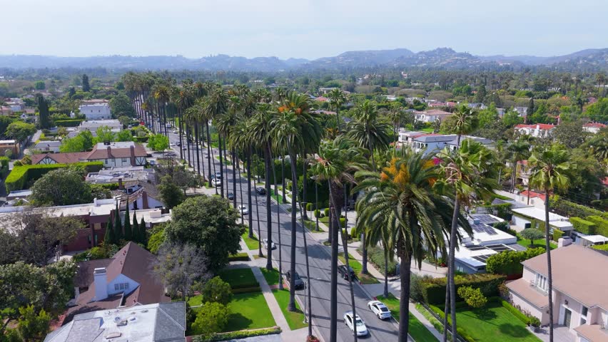 Aerial View of Palm-Lined Residential Street in Beverly Hills, Los Angeles