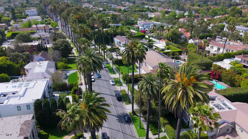 Flying Over Iconic Palm Trees of Beverly Hills Luxury Neighborhood
