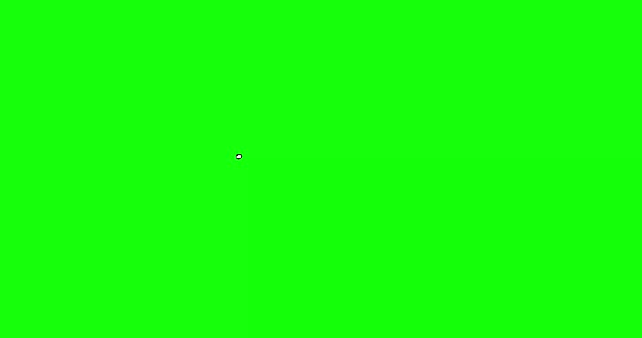 Shutterstock Video