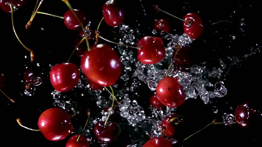 Juicy appetizing cherry jumping up in splashes of water on black background. High quality 4k footage
