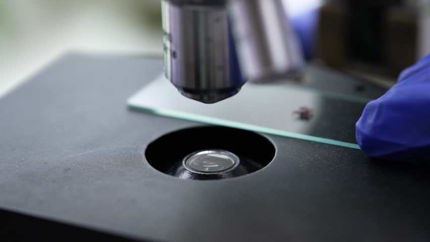 Gloved healthcare professional carefully positioning microscope slide with tick specimen, meticulously preparing for detailed scientific examination under precise laboratory conditions