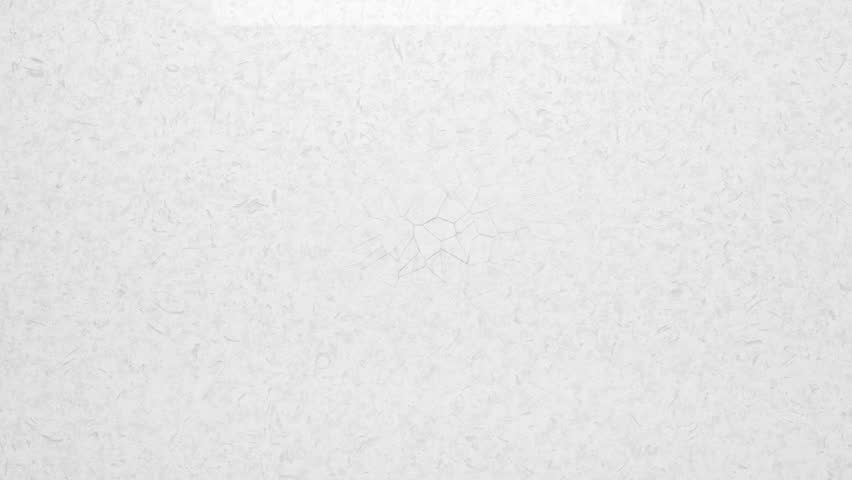 Shutterstock Video