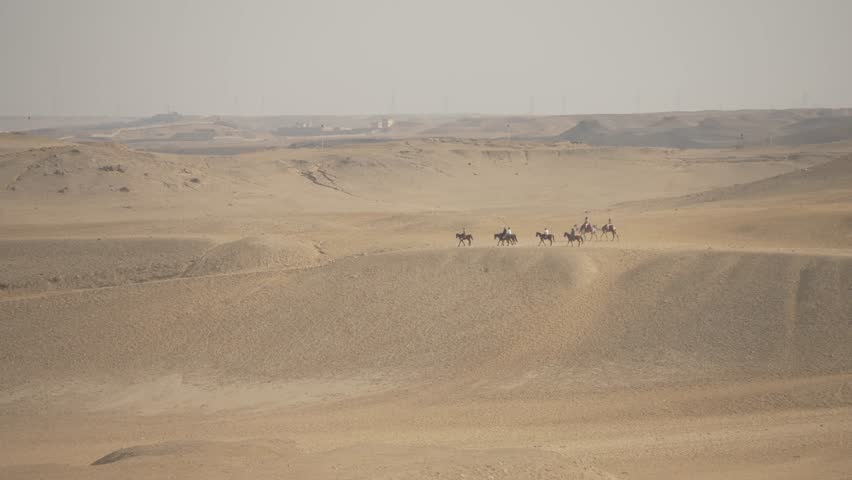 View of horse and camel (Camelus) riding in the desert near the Giza Pyramids on a sunny day, Giza, Cairo, Egypt, Africa