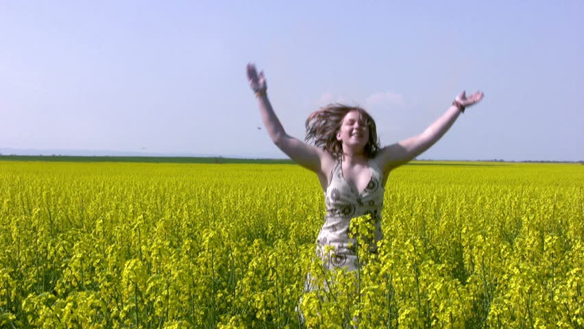 Summer. A field of canola. The warm sunny weather. Four footage in one: 1. The
