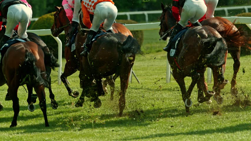Racehorses in a line gallop up to the Winning Line together, super slow motion