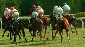 Racehorses in a line gallop up to the Winning Line together, super slow motion - Powered by Shutterstock - Get 15% off with code: PIKWIZARD15