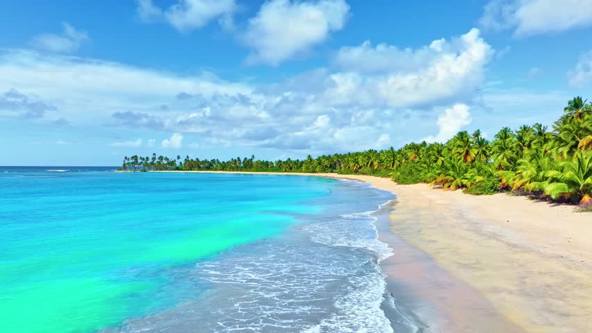 Sunny beach and tropical sea. Beautiful beach nature, Caribbean landscapes, wonderful view of exotic scenery, white sand and blue sky. Luxurious natural background for summer vacation and relaxation.