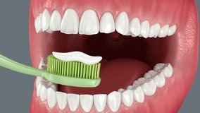 Toothbrush cleaning teeth. Medically accurate 3D Animation of oral hygiene - Powered by Shutterstock - Get 15% off with code: PIKWIZARD15