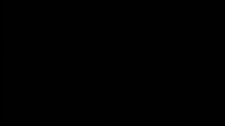 Shutterstock Video