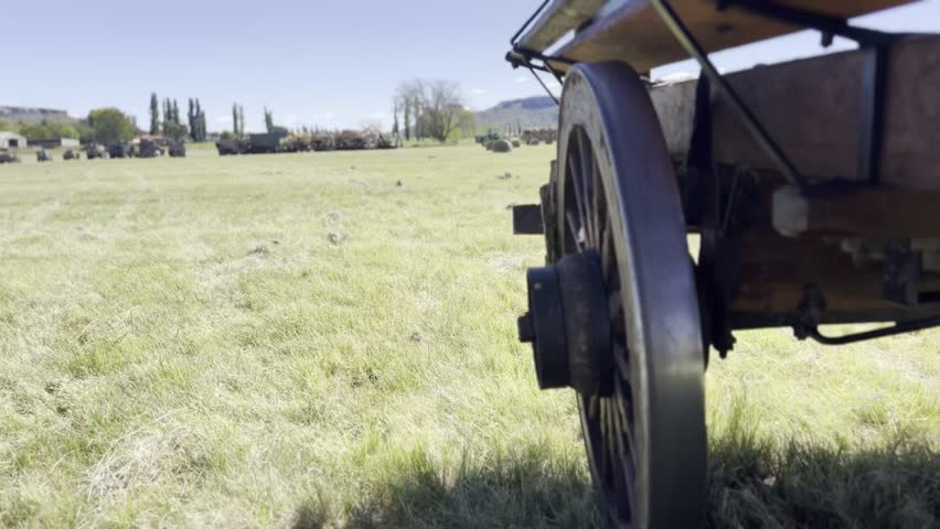 Ox wagon pulled across field in South Africa