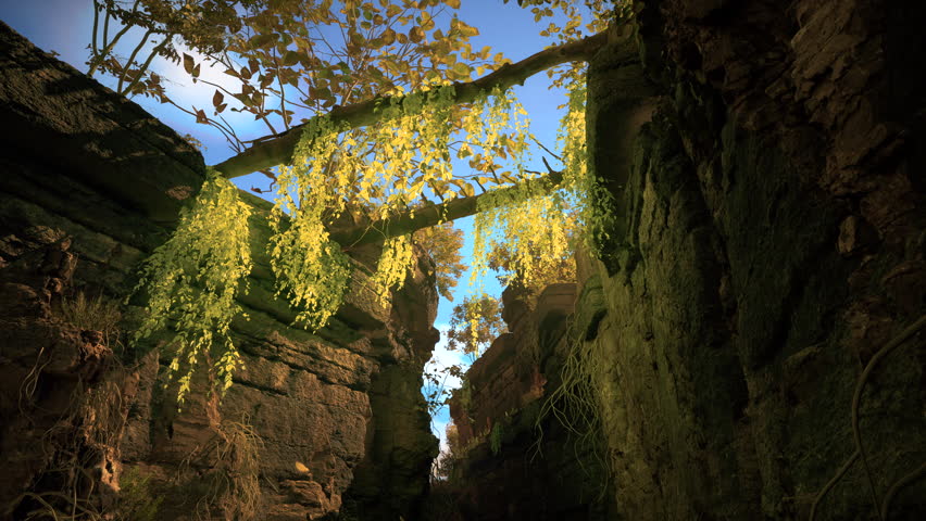 Low-angle shot looking up through a narrow crevice in rocky cliffs. The crevice is filled with a variety of foliage, including long strands of vines, shrubs, and large tree with yellow-tinged leaves.