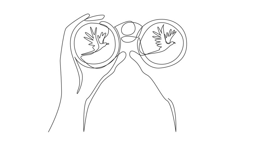 Animation of single one line drawing two hands holding binoculars watching flying birds. Observing animal behavior. National Go Birding Day. Continuous line self drawing animated. Full length motion