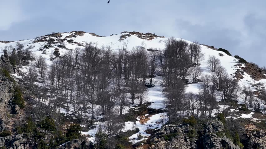 Patagonia Skyline In Bariloche Rio Negro Argentina. Captivating Aerial View Of Plantations Forming Geometric Patterns. Outdoor Tourism Icon Patagonia Glacier. Discover Patagonia Aerial Landscape.