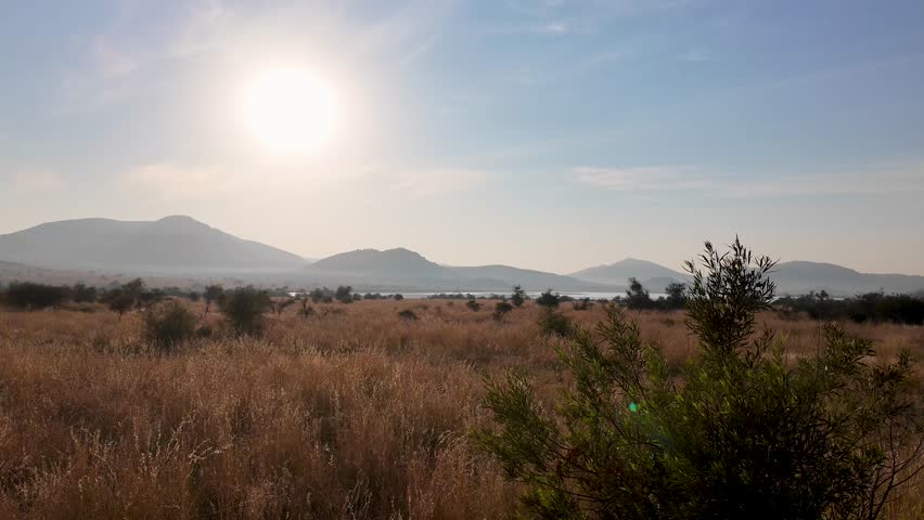 Savannah Sunset In Pilanesberg National Park North West South Africa. African Big Five Animals In The Stunning Safari. Sunset Rural Background Valley Farming Beautiful. Field Farming.