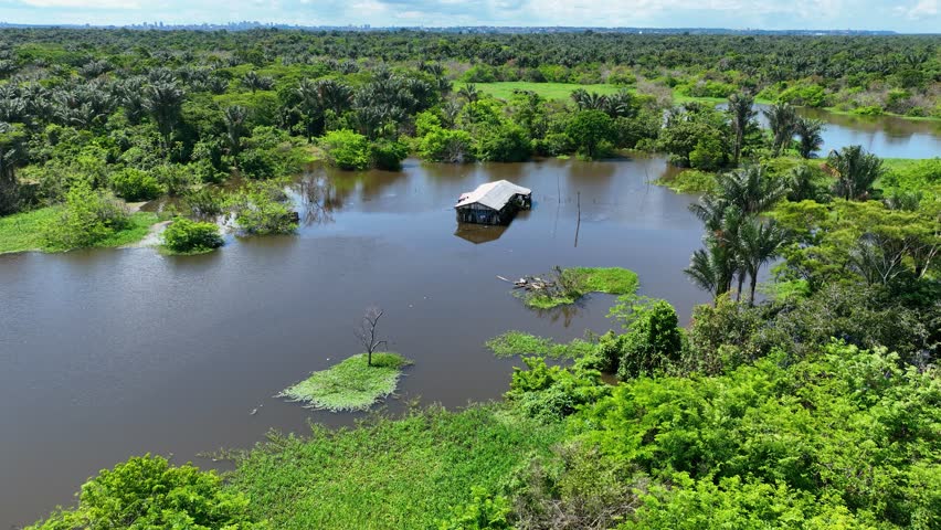 Amazonian Rainforest In Manaus Amazonas Brazil. Amazon Rainforest Showing River Winding Dense Jungle. Forest Flyover Amazon Green. Wilderness Panorama. Manaus Amazonas.