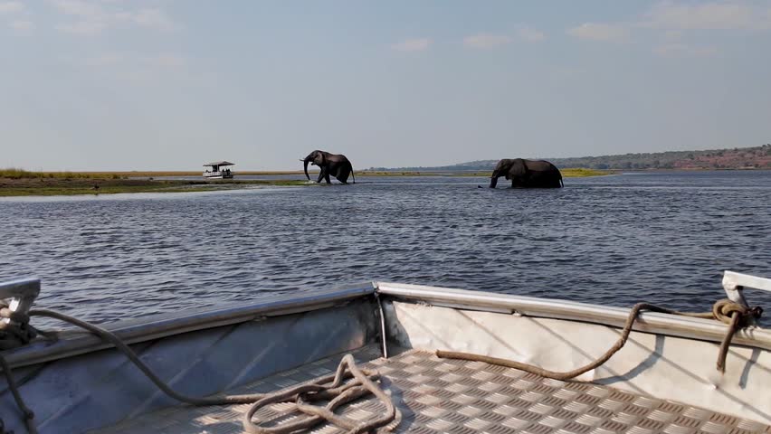 Safari Tour In Okavango Delta National Park Botswana. Wildness Safari Scene Of Game Drive With Big Five Animals. Nature Sky Clouds Sky Forest. Nature Agro Panning Wide. Okavango Delta National Park.
