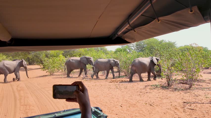 Safari Tour In Etosha National Park Namibia. Wildness Safari Scene Of Game Drive With Big Five Animals. Deserted Outdoor Farmer Stunning. Deserted Forest. Etosha National Park.