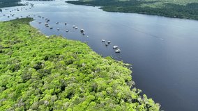 Amazon Forest In Manaus Amazonas Brazil. Amazon Rainforest Showing River Winding Dense Jungle. Guyana River Forest Background Lagoon. Guyana Travel. Manaus Amazonas. - Powered by Shutterstock - Get 15% off with code: PIKWIZARD15